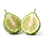 Bergamot