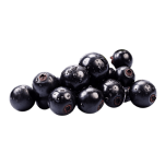 Blackcurrant