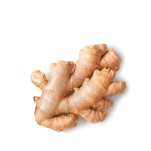 Ginger