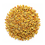 Osmanthus
