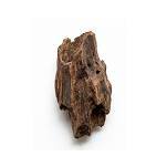 Oud