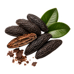 Tonka Bean